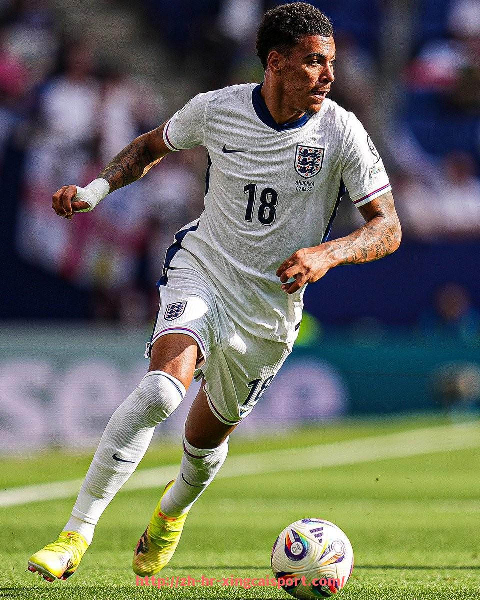 杏彩体育-世俱杯全场数据整合工具介绍及数据分析实用技巧