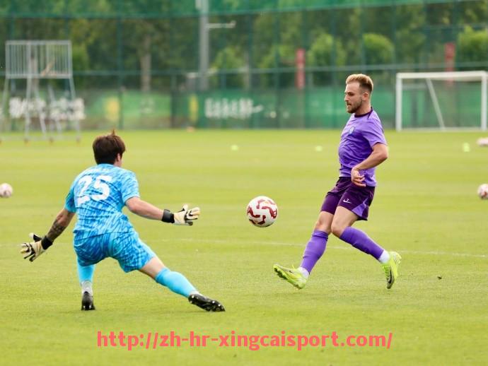 杏彩体育-世俱杯球员所获荣誉与欧洲赛事奖项对比研究报告