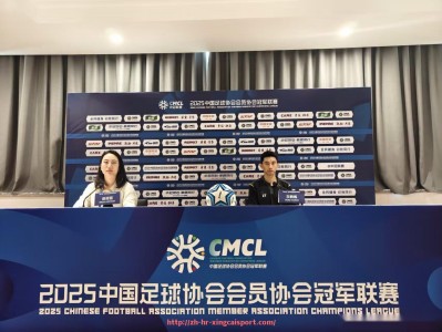 杏彩体育-世俱杯商业合作流程优化的创新路径与实施效果